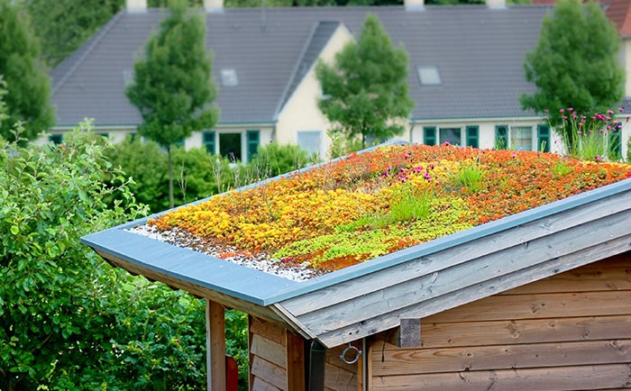 Comment réaliser une toiture végétale ?