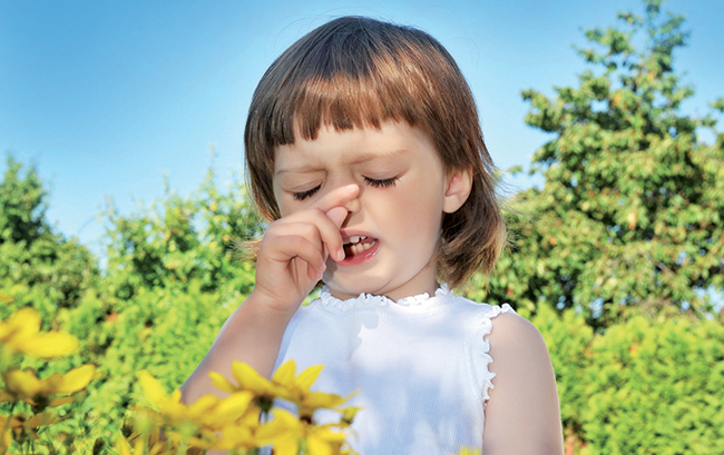Allergies printanières : la phyto à la rescousse