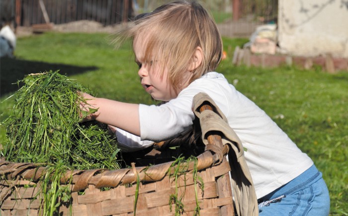 Les enfants font du jardinage