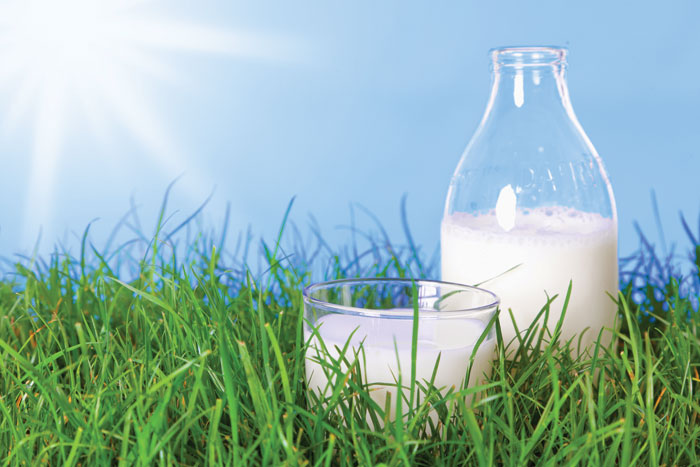 Lait sans lactose : le goût du lait, le lactose en moins