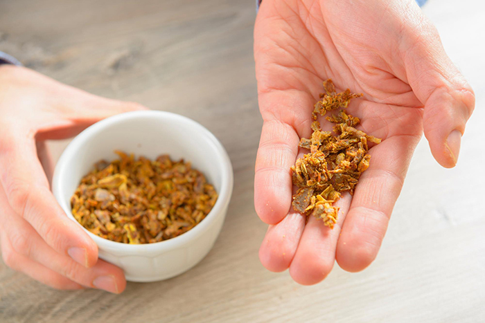 Les usages cachés de la propolis
