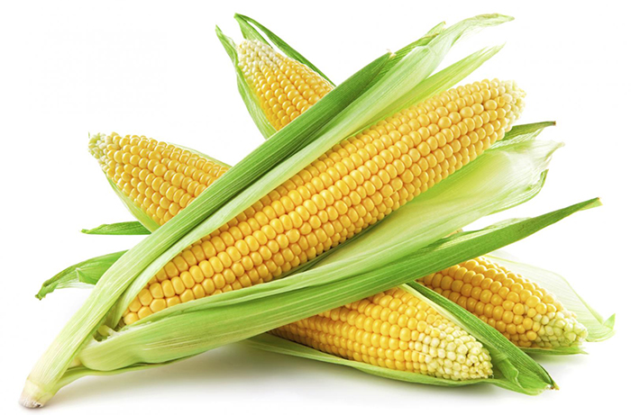 Le maïs et ses bienfaits