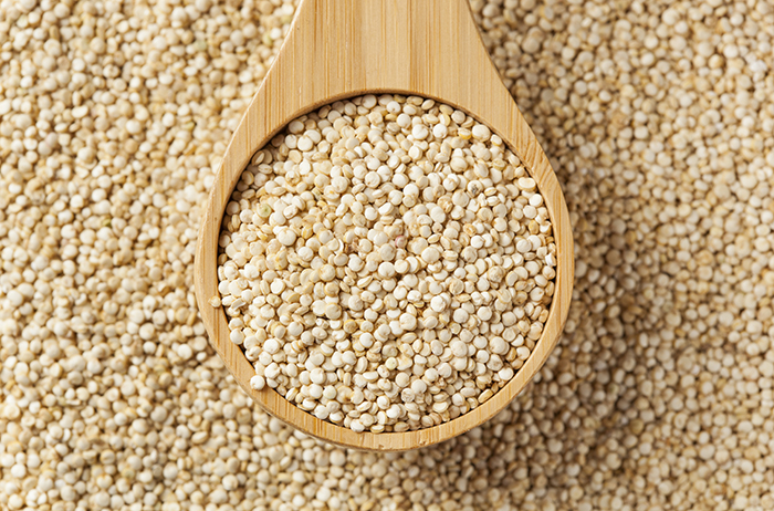 Tout connaitre sur le Quinoa